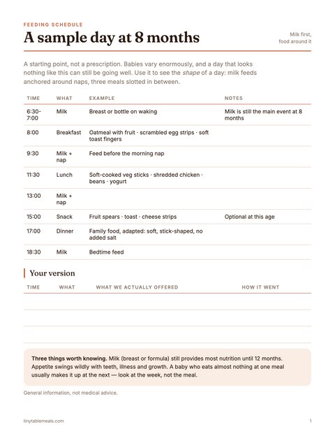 8-Month Feeding Schedule preview