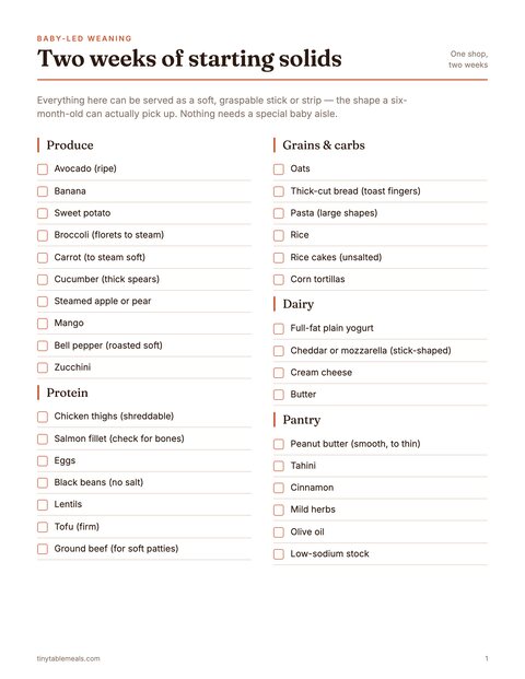 Baby-Led Weaning Grocery List preview