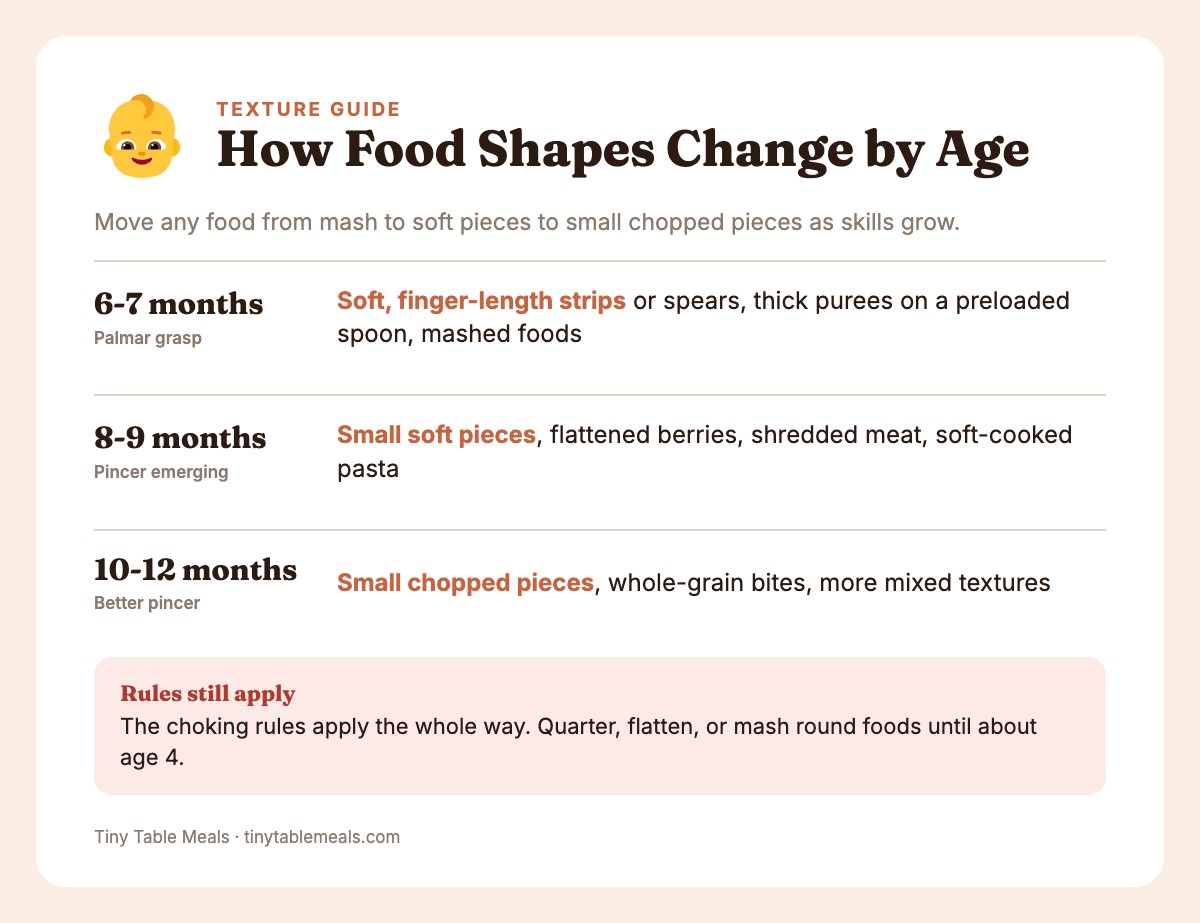 Three age stages from 6 to 12 months showing grasp skill and the food shapes that suit each