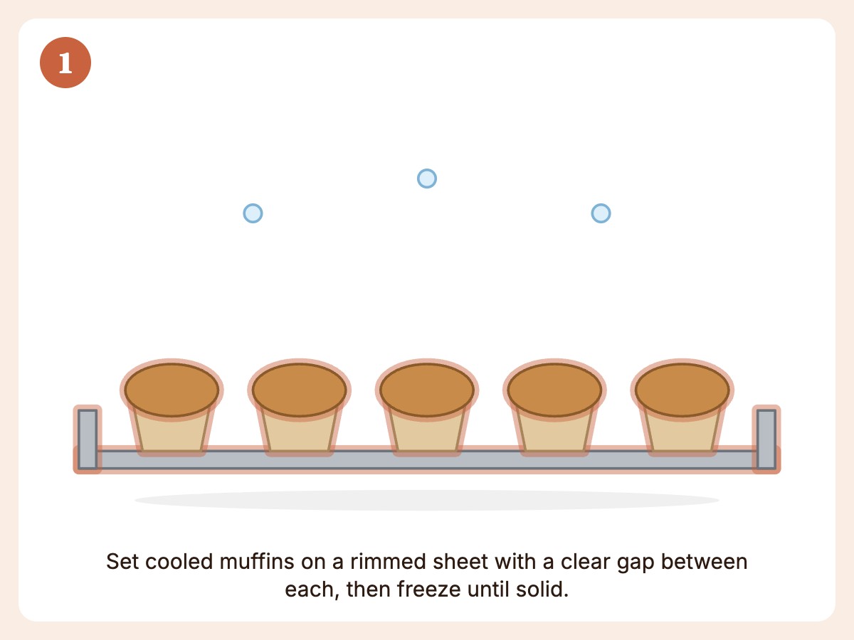 Step 1: Flash-freeze muffins on a rimmed baking sheet, not touching, for 1 to 2 hours