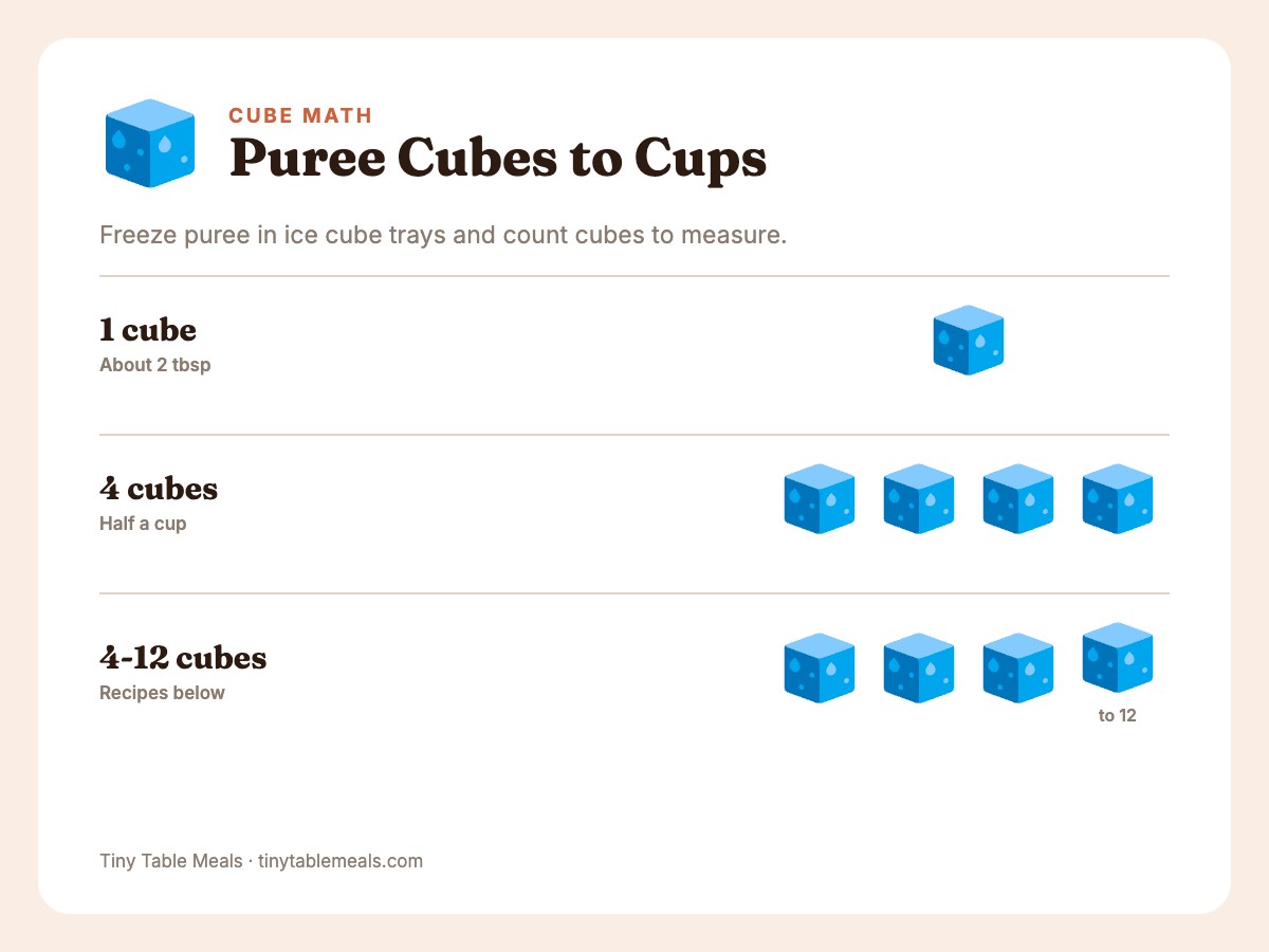 Info card: one puree ice cube is 2 tablespoons, 4 cubes make 1/2 cup, recipes use 4 to 12 cubes