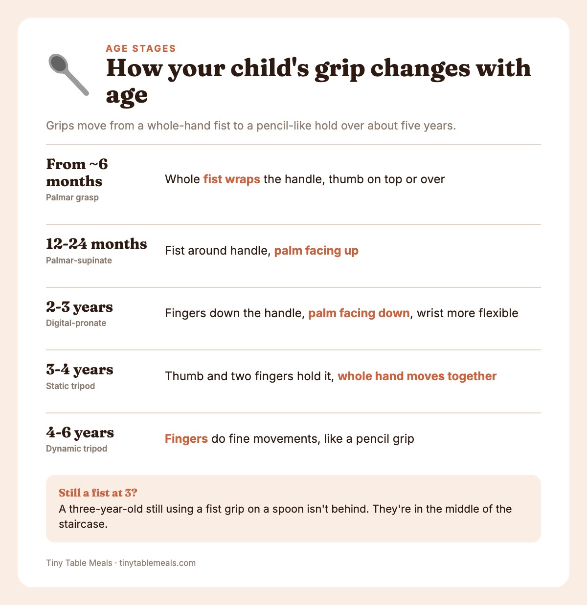 Five utensil grips from palmar fist to dynamic tripod, with the approximate age of each
