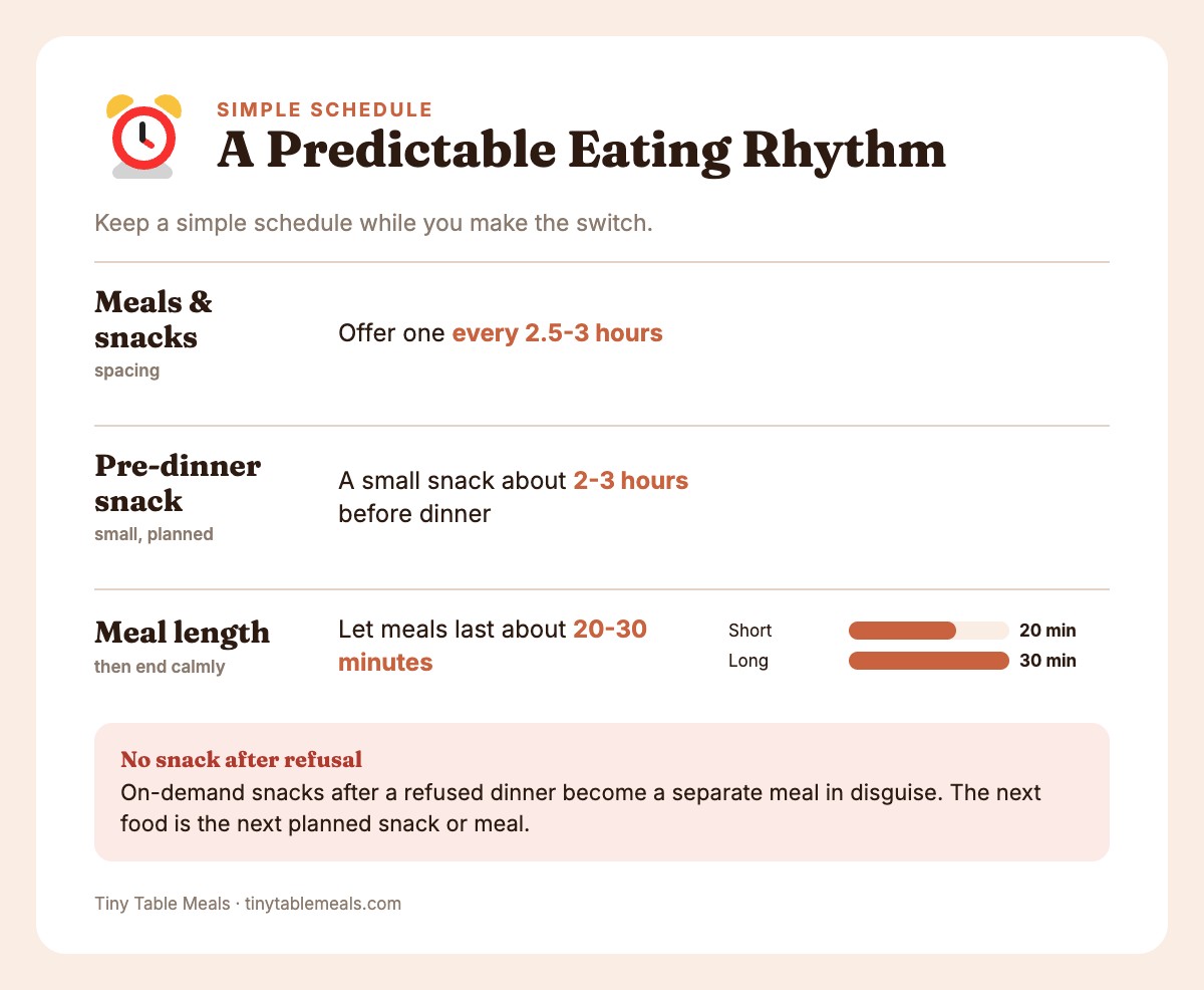 Schedule card: meals and snacks every 2.5-3 hours, snack 2-3 hours before dinner, meals last 20-30 minutes