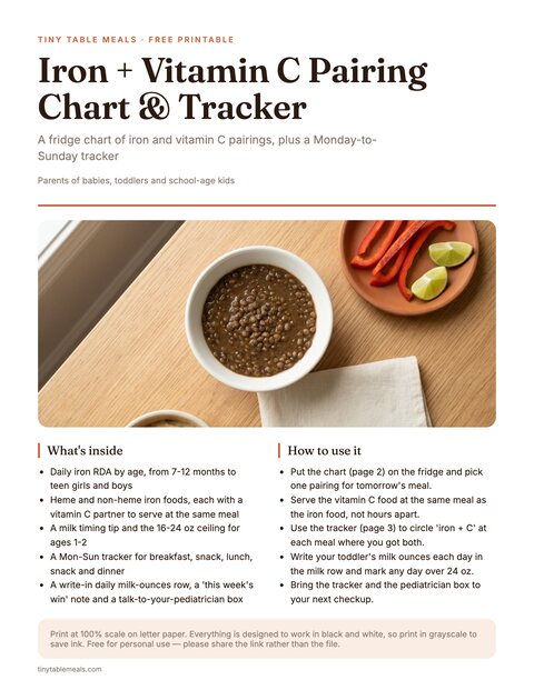 Iron + Vitamin C Pairing Chart & Tracker preview