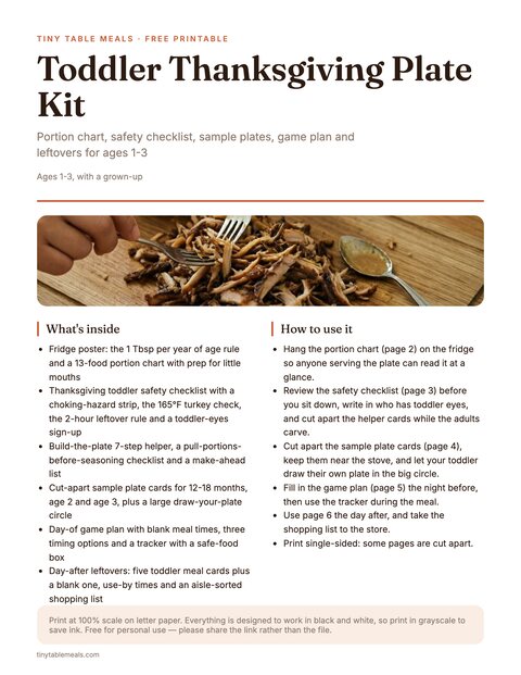 Toddler Thanksgiving Plate Kit (Ages 1-3) preview